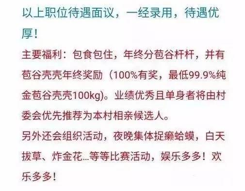 峨眉山最新招聘信息匯總與解讀