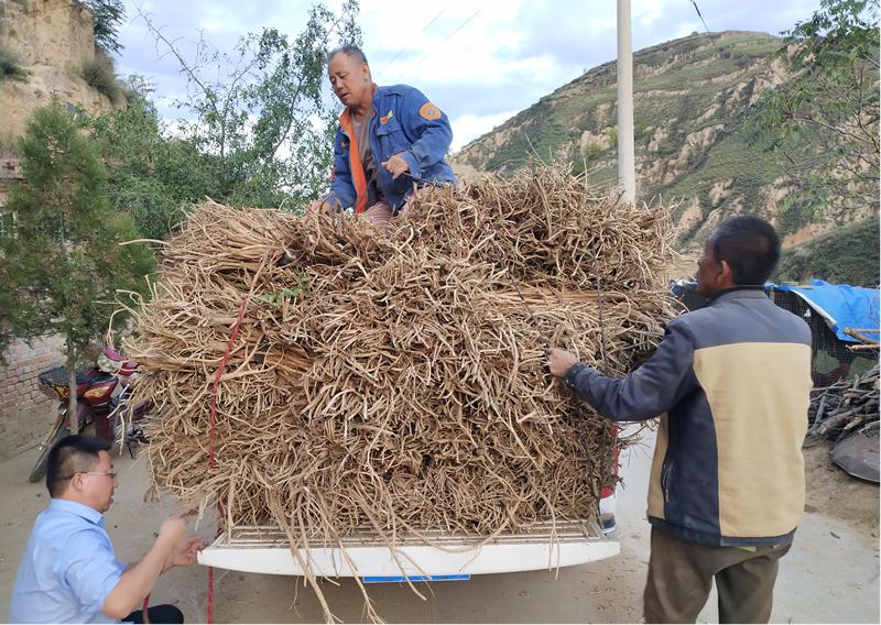 子洲縣級公路維護監(jiān)理事業(yè)單位最新項目探究與分析