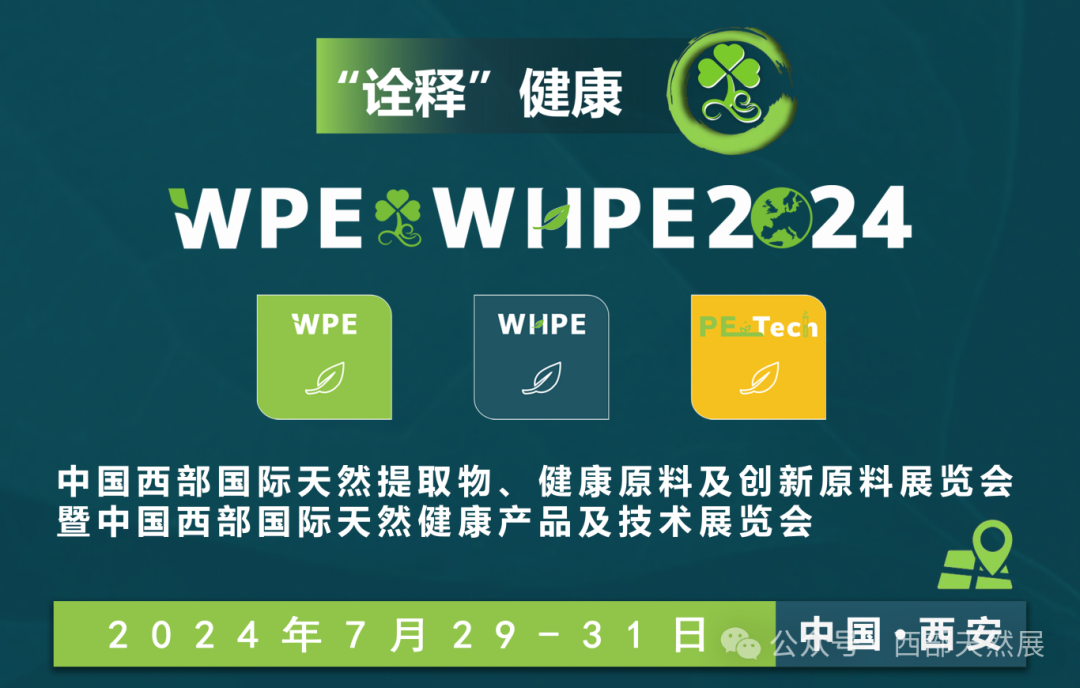 WPE最新技術，引領行業(yè)變革的關鍵力量揭秘