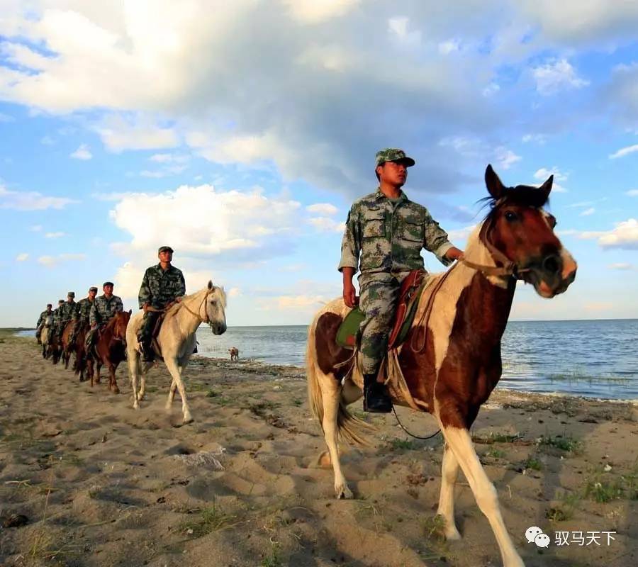 最新在線騎兵區(qū),最新在線騎兵區(qū)，探索與體驗(yàn)