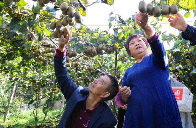 蒼溪最新聞聚焦，時代前沿與地方熱點探索