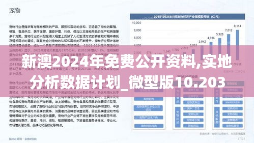 2024新澳正版免費資料,實地數(shù)據(jù)驗證策略_3K83.817