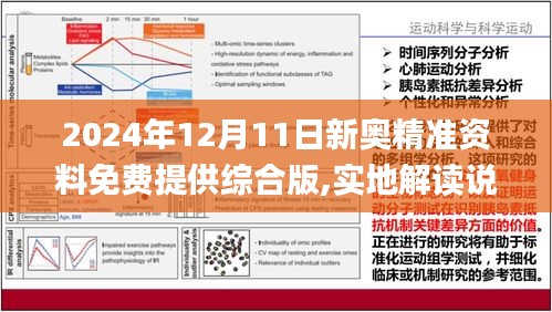 2024新奧正版資料最精準(zhǔn)免費大全,科學(xué)依據(jù)解釋定義_MR48.675