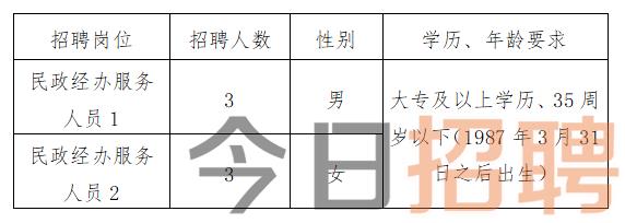 防城港招聘網(wǎng)最新招聘動(dòng)態(tài)深度解析與解讀