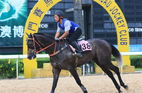 澳門開特馬+開獎結果課特色抽獎｜最新正品解答落實