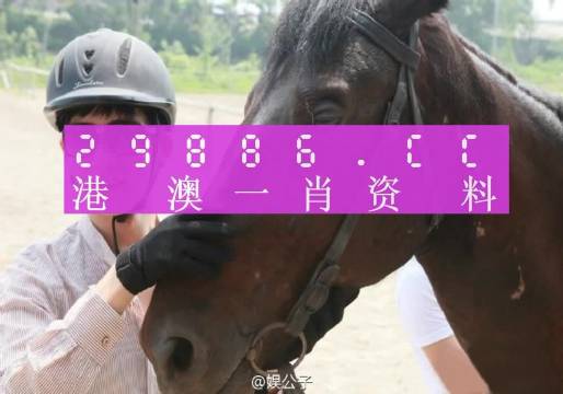 澳門必中一一肖一碼服務(wù)內(nèi)容｜實地解釋定義解答