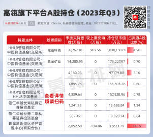 最新持股查詢，洞悉投資組合動態(tài)與策略的核心信息