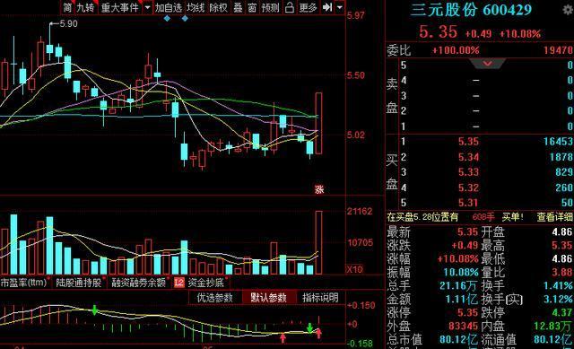 三元股份最新動態(tài)，綜述發(fā)展展望的未來