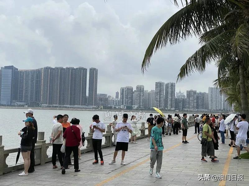 江南慕雨