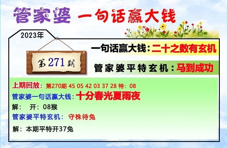 7777788888管家婆一肖碼,平衡策略實施_NE版44.961