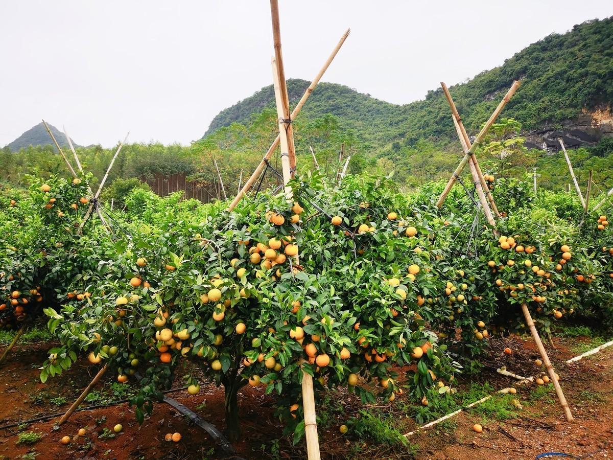 硼海鎮(zhèn)最新招聘信息全面概覽