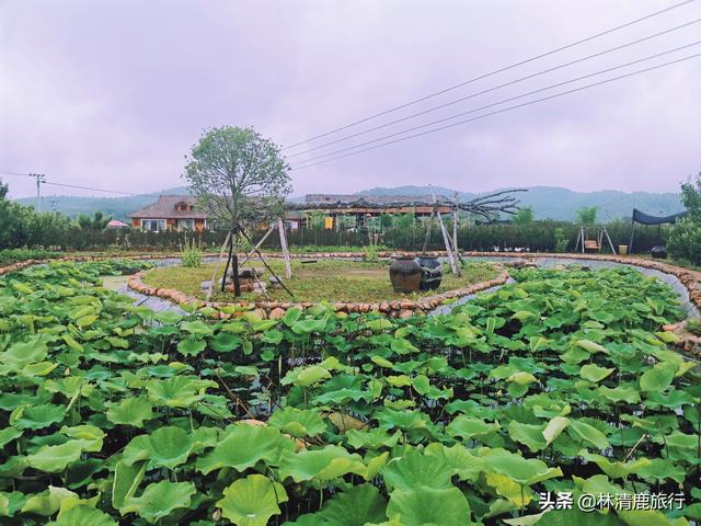 無冬鎮(zhèn)最新動(dòng)態(tài)，發(fā)展與變革的歷程回顧與前瞻