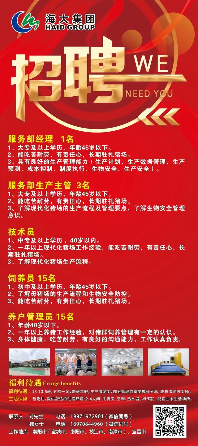 臨泉在線最新招聘信息、行業(yè)趨勢分析與招聘動態(tài)速遞