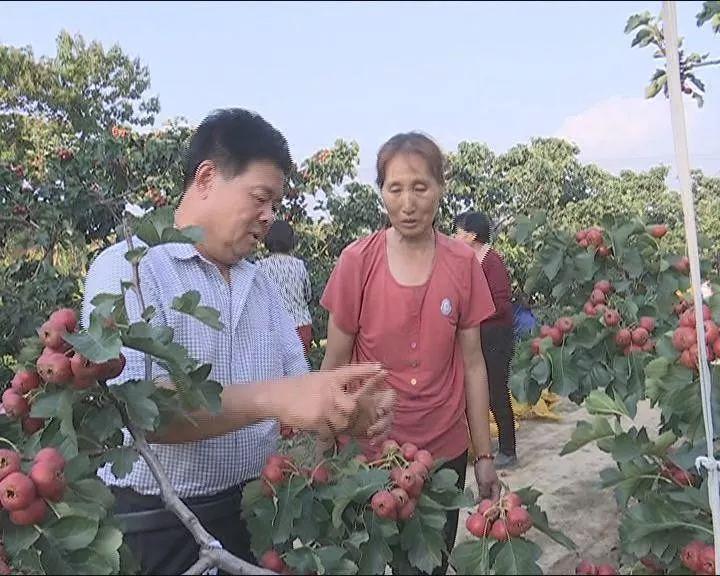 全球與國內(nèi)時政要聞解讀，最新動態(tài)與深度剖析