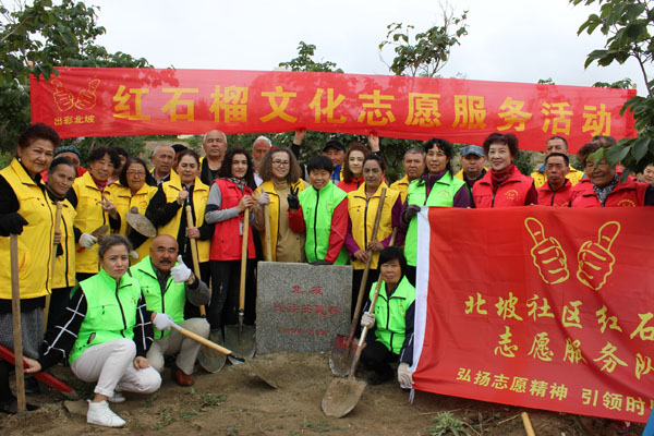 草社區(qū)榴最新動態(tài)揭秘，探索新時(shí)代的綠色生活