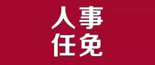 鄄城縣審計(jì)局最新人事任命,鄄城縣審計(jì)局最新人事任命，推動(dòng)審計(jì)事業(yè)發(fā)展的新篇章