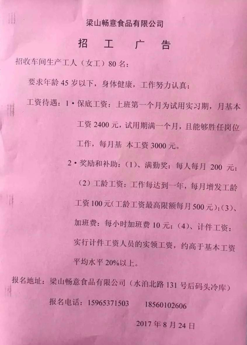 魯山最新招聘信息概覽，求職者的必讀指南