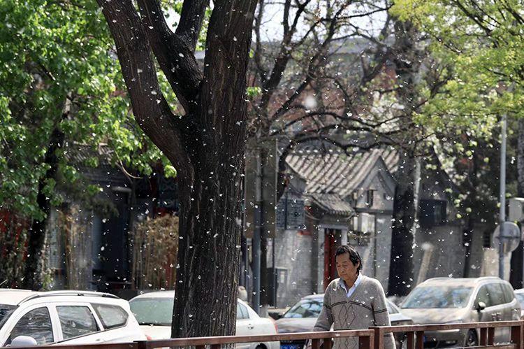 南街鎮(zhèn)最新天氣預(yù)報(bào)概覽