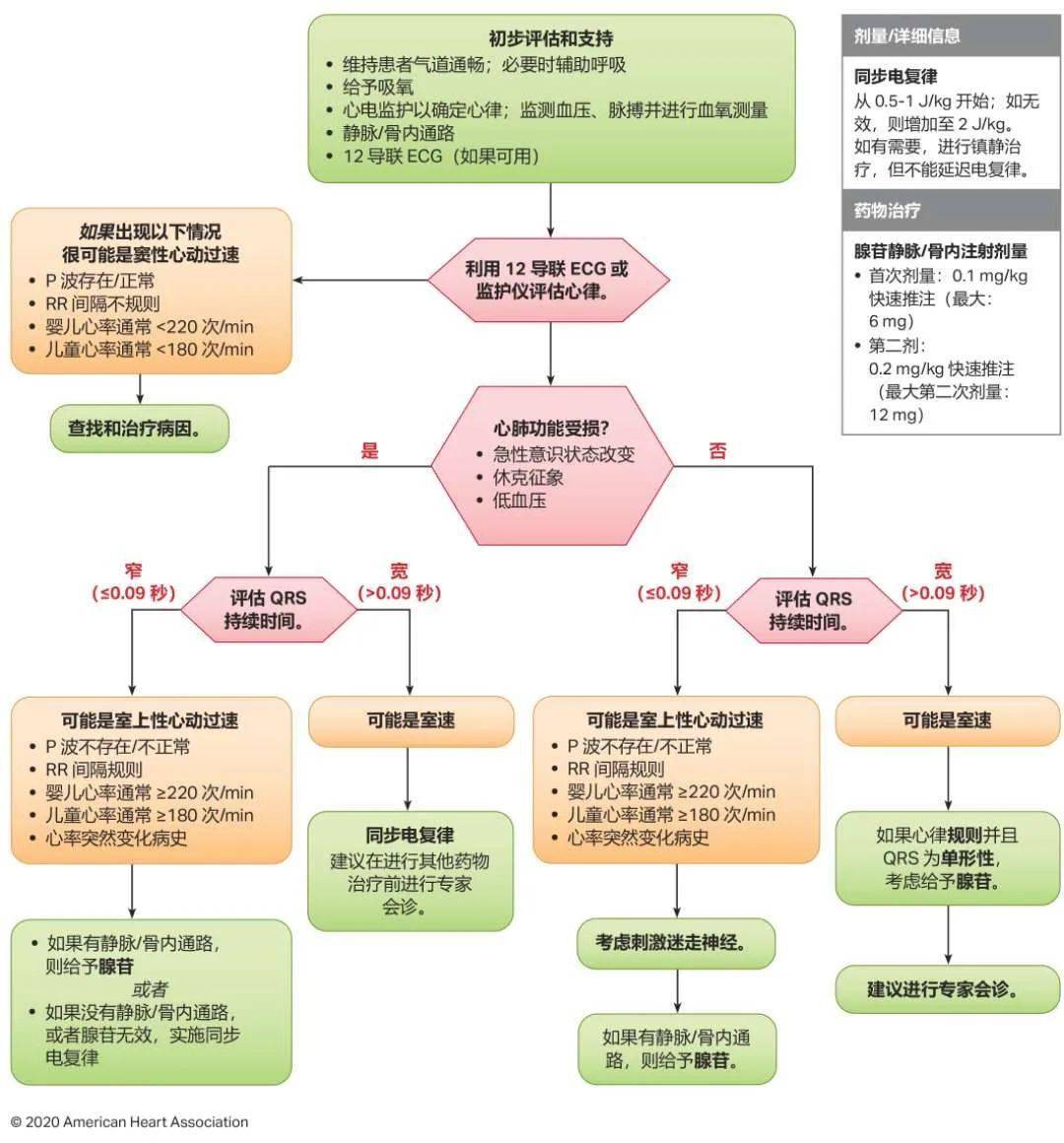 2025年2月2日 第7頁