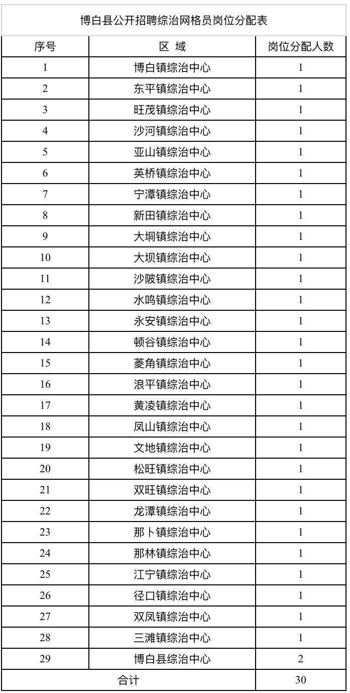 博白縣數(shù)據(jù)和政務(wù)服務(wù)局最新招聘信息全解析