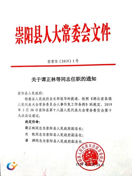 崇陽縣小學人事任命揭曉，引領(lǐng)未來教育新篇章啟動