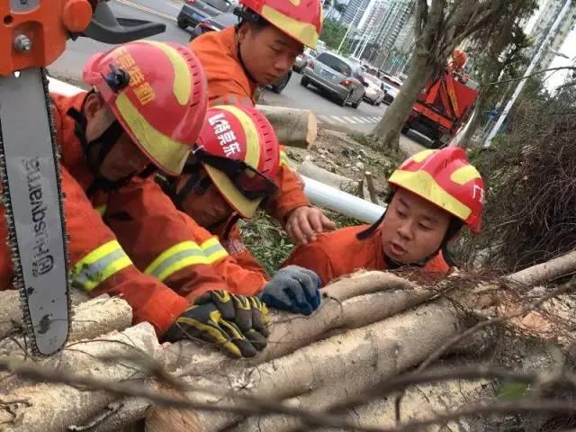 臺風(fēng)天鴿逼近，警惕防范，最新動(dòng)態(tài)與消息更新