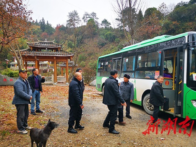 通道縣播陽農(nóng)場交通發(fā)展助力農(nóng)場繁榮，最新交通新聞與進展