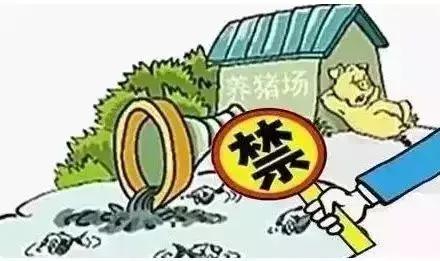 資陽區(qū)財政局最新發(fā)展規(guī)劃概覽