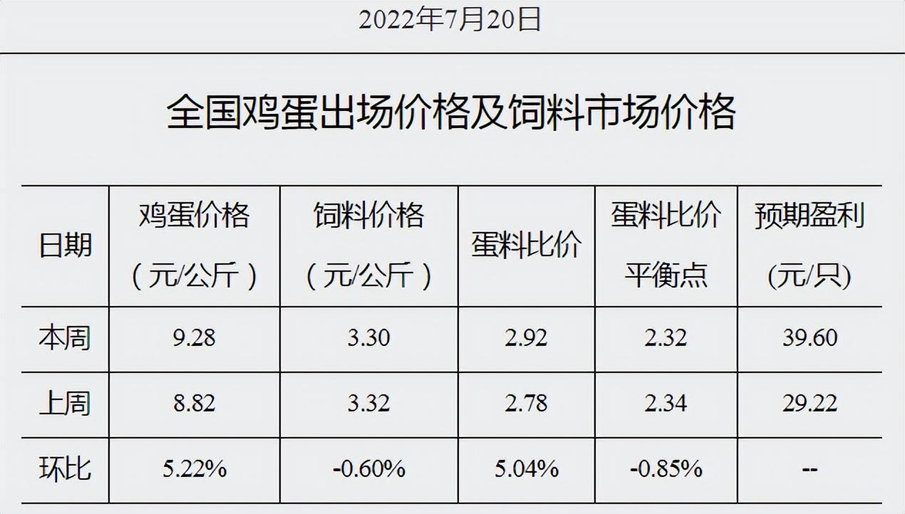 全國(guó)最新雞蛋價(jià)格及動(dòng)態(tài)分析概覽