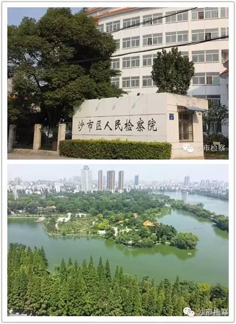 沙市最新招聘信息全面概覽