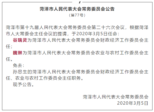 石城縣財政局人事任命，塑造未來財政藍圖的核心力量